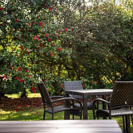Copthorne Effingham Gatwick Hotel Bagian luar foto